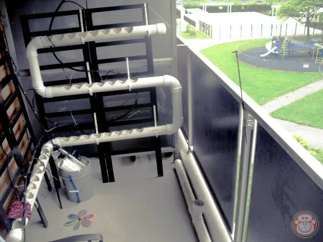 Compact 2013 balcony hydroponic system in the Bronx