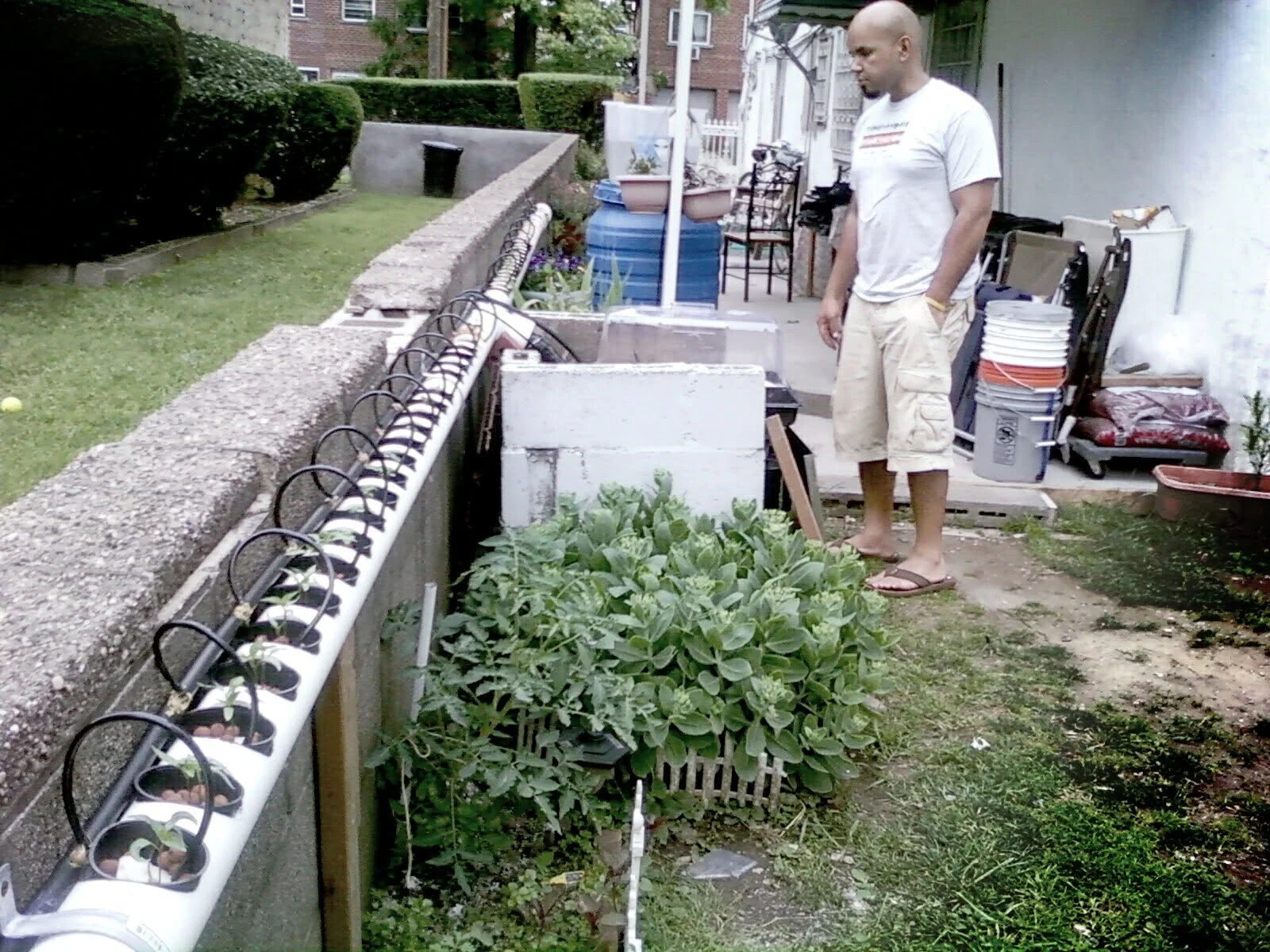 Alex standing beside his original hydroponic growing system in the Bronx