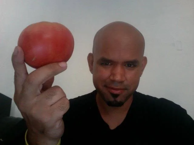 The first tomato harvest.
