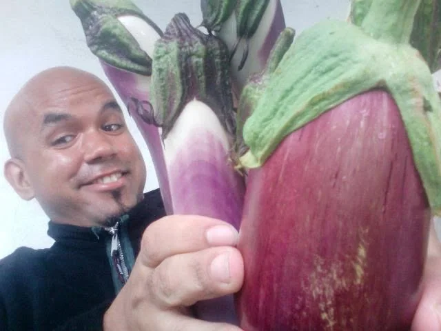 A harvest of 12 eggplants.