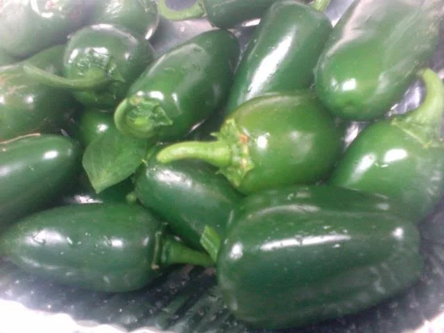 Fresh jalapeños ready for preserving with vinegar, olive oil, salt and pepper.